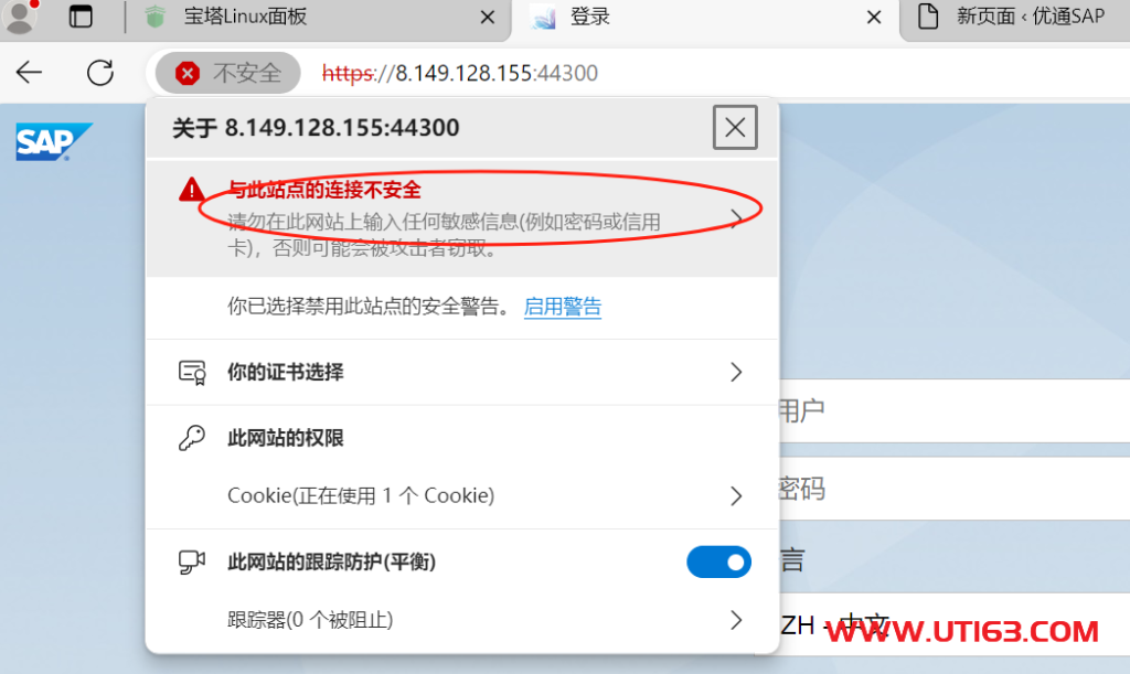 VSCODE连接HTTPS出错 - 第1张  | 优通SAP