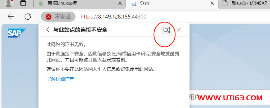 VSCODE连接HTTPS出错 - 第2张  | 优通SAP