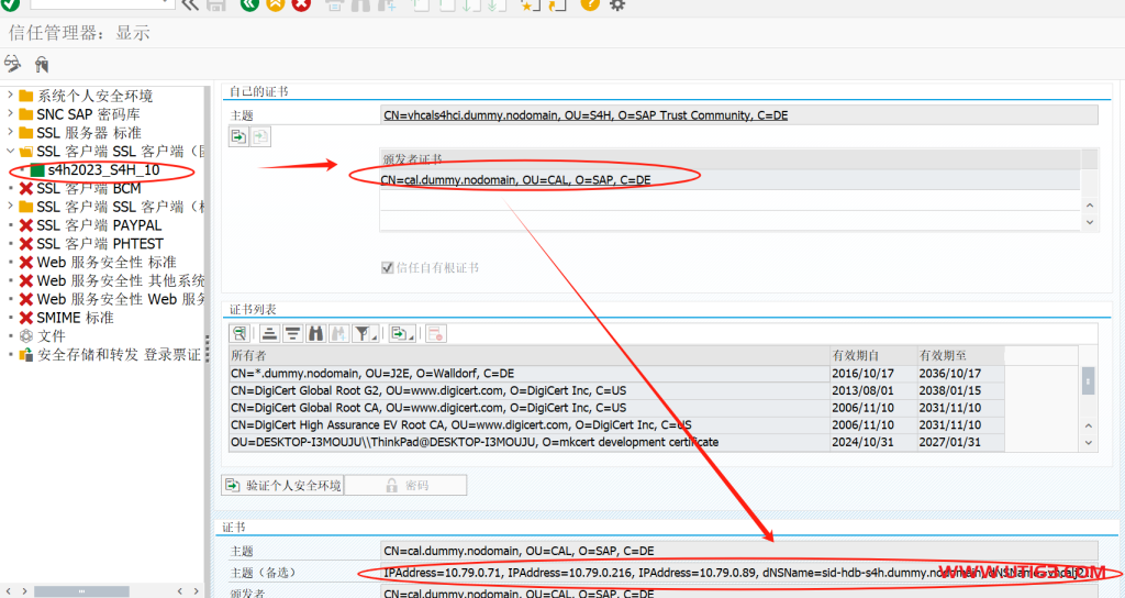 VSCODE连接HTTPS出错 - 第6张  | 优通SAP